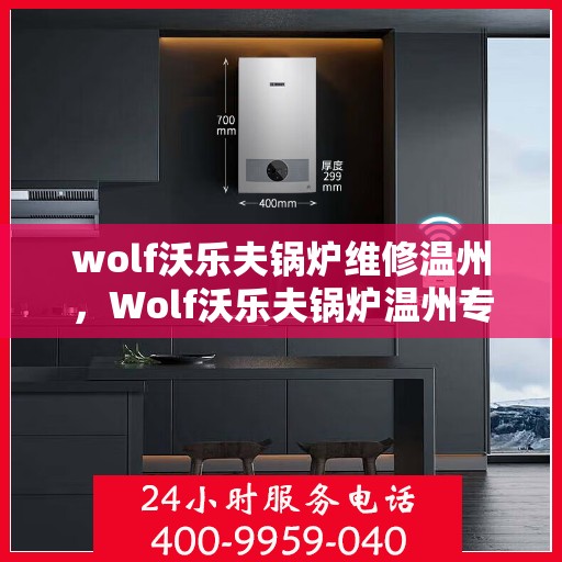wolf沃乐夫锅炉维修温州，Wolf沃乐夫锅炉温州专业维修服务