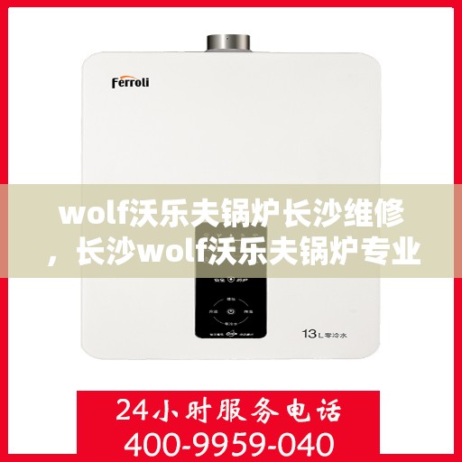 wolf沃乐夫锅炉长沙维修，长沙wolf沃乐夫锅炉专业维修服务
