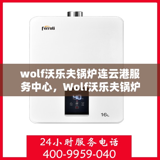 wolf沃乐夫锅炉连云港服务中心，Wolf沃乐夫锅炉连云港专业服务中心