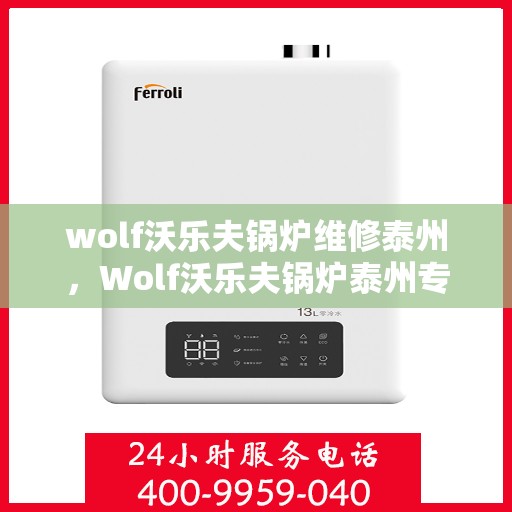 wolf沃乐夫锅炉维修泰州，Wolf沃乐夫锅炉泰州专业维修服务指南