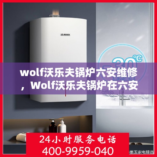wolf沃乐夫锅炉六安维修，Wolf沃乐夫锅炉在六安的维修服务解析