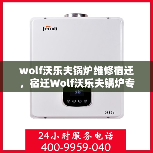 wolf沃乐夫锅炉维修宿迁，宿迁Wolf沃乐夫锅炉专业维修服务