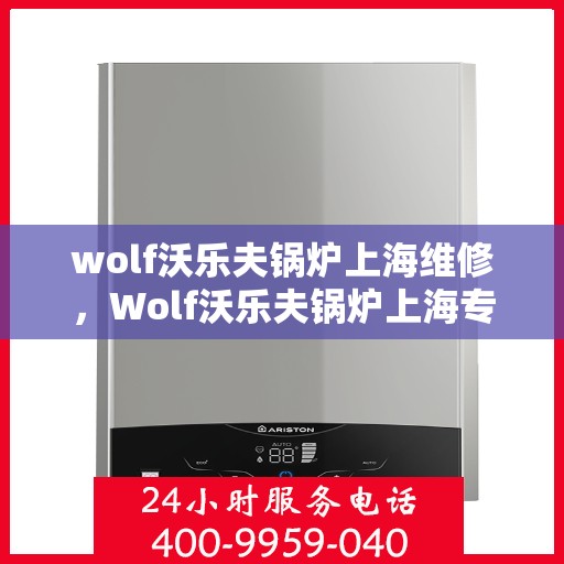 wolf沃乐夫锅炉上海维修，Wolf沃乐夫锅炉上海专业维修服务