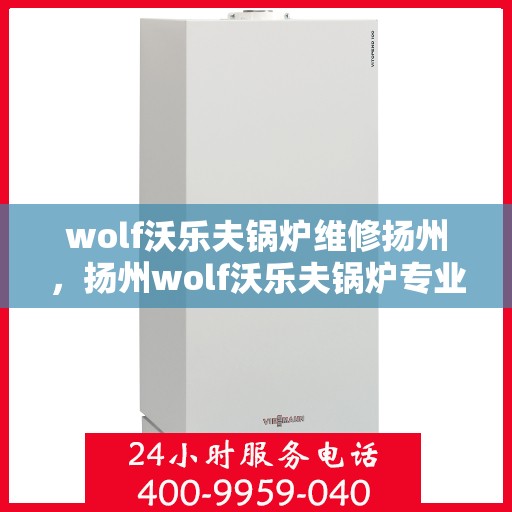 wolf沃乐夫锅炉维修扬州，扬州wolf沃乐夫锅炉专业维修服务