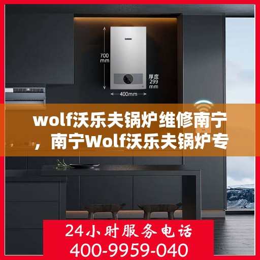 wolf沃乐夫锅炉维修南宁，南宁Wolf沃乐夫锅炉专业维修服务
