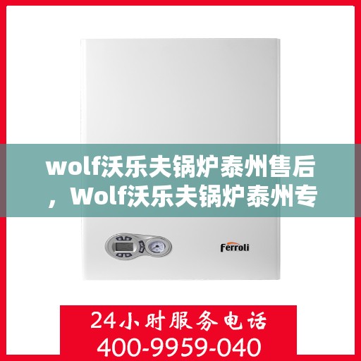 wolf沃乐夫锅炉泰州售后，Wolf沃乐夫锅炉泰州专业售后服务