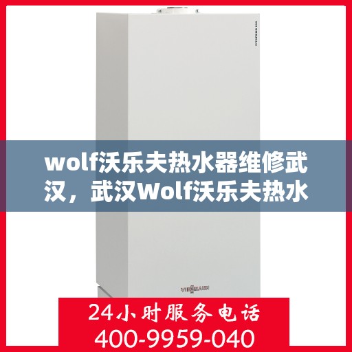 wolf沃乐夫热水器维修武汉，武汉Wolf沃乐夫热水器专业维修服务