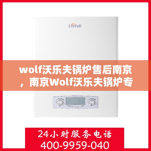 wolf沃乐夫锅炉售后南京，南京Wolf沃乐夫锅炉专业售后服务指南