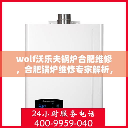 wolf沃乐夫锅炉合肥维修，合肥锅炉维修专家解析，wolf沃乐夫锅炉维护与保养秘籍