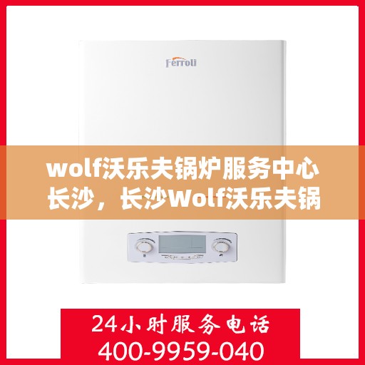 wolf沃乐夫锅炉服务中心长沙，长沙Wolf沃乐夫锅炉专业服务中心，高效、优质的供暖解决方案