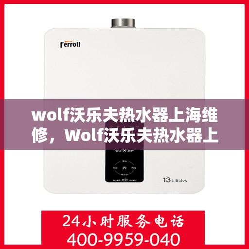 wolf沃乐夫热水器上海维修，Wolf沃乐夫热水器上海专业维修服务