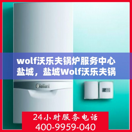 wolf沃乐夫锅炉服务中心盐城，盐城Wolf沃乐夫锅炉专业服务中心