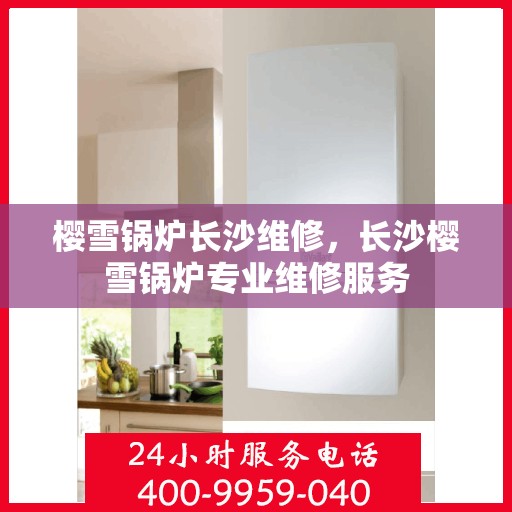 樱雪锅炉长沙维修，长沙樱雪锅炉专业维修服务