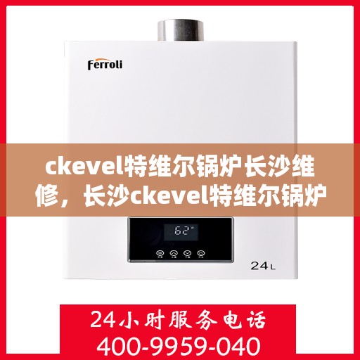 ckevel特维尔锅炉长沙维修，长沙ckevel特维尔锅炉专业维修服务