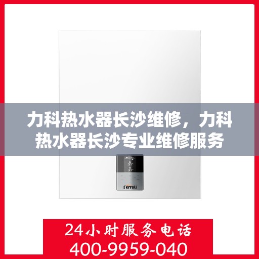 力科热水器长沙维修，力科热水器长沙专业维修服务