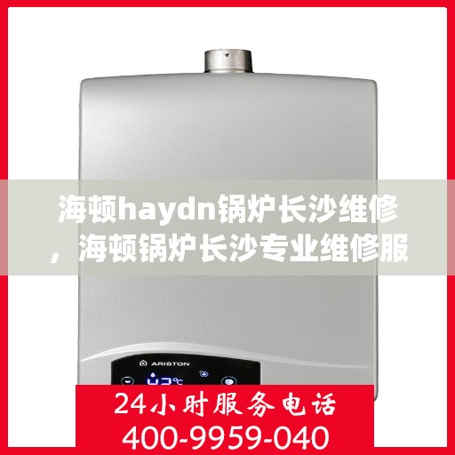 海顿haydn锅炉长沙维修，海顿锅炉长沙专业维修服务