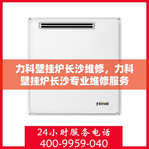 力科壁挂炉长沙维修，力科壁挂炉长沙专业维修服务