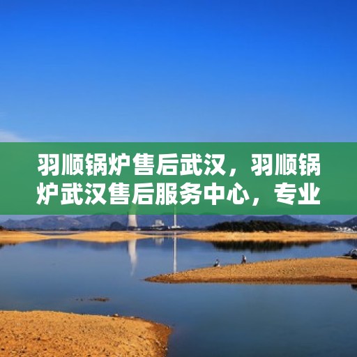 羽顺锅炉售后武汉，羽顺锅炉武汉售后服务中心，专业维修与贴心服务