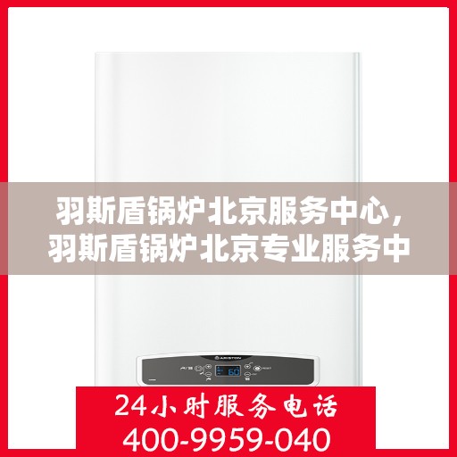 羽斯盾锅炉北京服务中心，羽斯盾锅炉北京专业服务中心，高效服务，品质保障