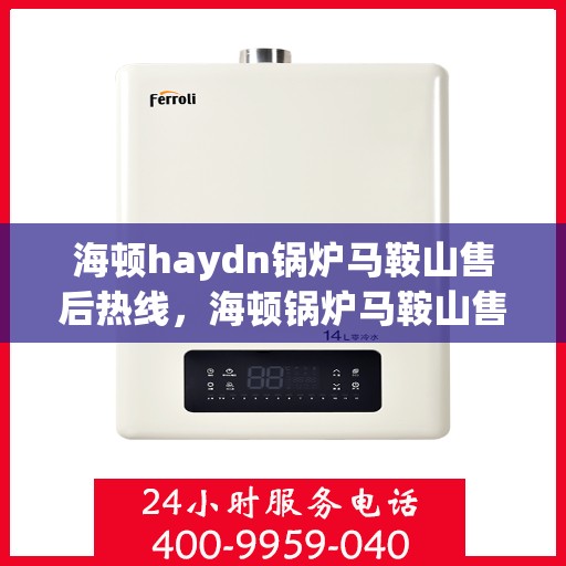 海顿haydn锅炉马鞍山售后热线，海顿锅炉马鞍山售后热线，专业维修服务热线解析